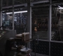 AMATW-00494.jpg