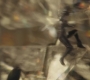 Filename=AMATW-00756.jpg
Filesize=79KiB
Dimensions=1920x804
Date added=Oct 11, 2021 AMATW-00756.jpg