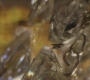 Filename=AMATW-00761.jpg
Filesize=104KiB
Dimensions=1920x804
Date added=Oct 11, 2021 AMATW-00761.jpg