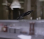 Filename=AMATW-00769.jpg
Filesize=72KiB
Dimensions=1920x804
Date added=Oct 11, 2021 AMATW-00769.jpg