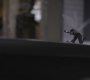 Filename=AMATW-00770.jpg
Filesize=52KiB
Dimensions=1920x804
Date added=Oct 11, 2021 AMATW-00770.jpg