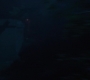 AMATW-01248.jpg