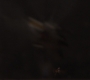 AMATW-01251.jpg