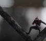 AMATW-02120.jpg