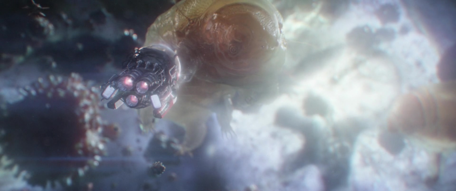 AMATW-02416.jpg