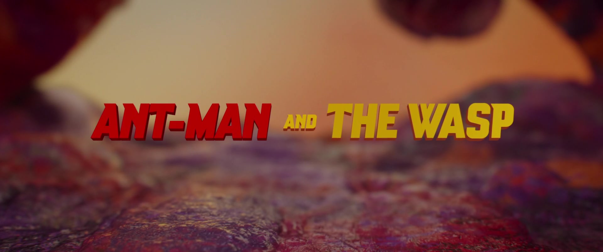 AMATW-03252.jpg