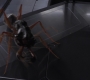Filename=AMATW-02263.jpg
Filesize=76KiB
Dimensions=1920x804
Date added=Oct 11, 2021 AMATW-02263.jpg