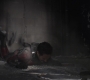 Filename=AMATW-02296.jpg
Filesize=71KiB
Dimensions=1920x804
Date added=Oct 11, 2021 AMATW-02296.jpg