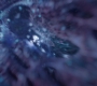 AMATW-02397.jpg