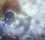AMATW-02415.jpg