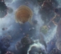 AMATW-02422.jpg
