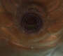 AMATW-02428.jpg