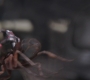 AMATW-02485.jpg