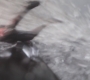AMATW-02488.jpg