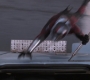 AMATW-02502.jpg
