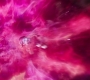 AMATW-02529.jpg