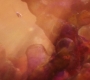 AMATW-02555.jpg