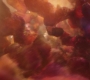 AMATW-02556.jpg