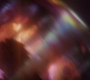 AMATW-02558.jpg