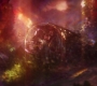 AMATW-02559.jpg