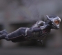 AMATW-02571.jpg