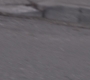 AMATW-02595.jpg