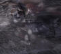 AMATW-02605.jpg