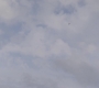 Filename=AMATW-02652.jpg
Filesize=45KiB
Dimensions=1920x804
Date added=Oct 11, 2021 AMATW-02652.jpg