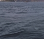 Filename=AMATW-02653.jpg
Filesize=127KiB
Dimensions=1920x804
Date added=Oct 11, 2021 AMATW-02653.jpg