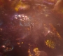 Filename=AMATW-02688.jpg
Filesize=133KiB
Dimensions=1920x804
Date added=Oct 11, 2021 AMATW-02688.jpg