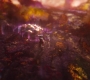 Filename=AMATW-02689.jpg
Filesize=149KiB
Dimensions=1920x804
Date added=Oct 11, 2021 AMATW-02689.jpg