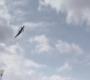 Filename=AMATW-02809.jpg
Filesize=60KiB
Dimensions=1920x804
Date added=Oct 11, 2021 AMATW-02809.jpg