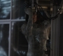 Filename=AMATW-02884.jpg
Filesize=142KiB
Dimensions=1920x804
Date added=Oct 11, 2021 AMATW-02884.jpg