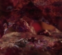 Filename=AMATW-03203.jpg
Filesize=103KiB
Dimensions=1920x804
Date added=Oct 11, 2021 AMATW-03203.jpg