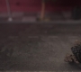Filename=AMATW-03213.jpg
Filesize=85KiB
Dimensions=1920x804
Date added=Oct 11, 2021 AMATW-03213.jpg