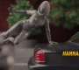Filename=AMATW-03233.jpg
Filesize=107KiB
Dimensions=1920x804
Date added=Oct 11, 2021 AMATW-03233.jpg