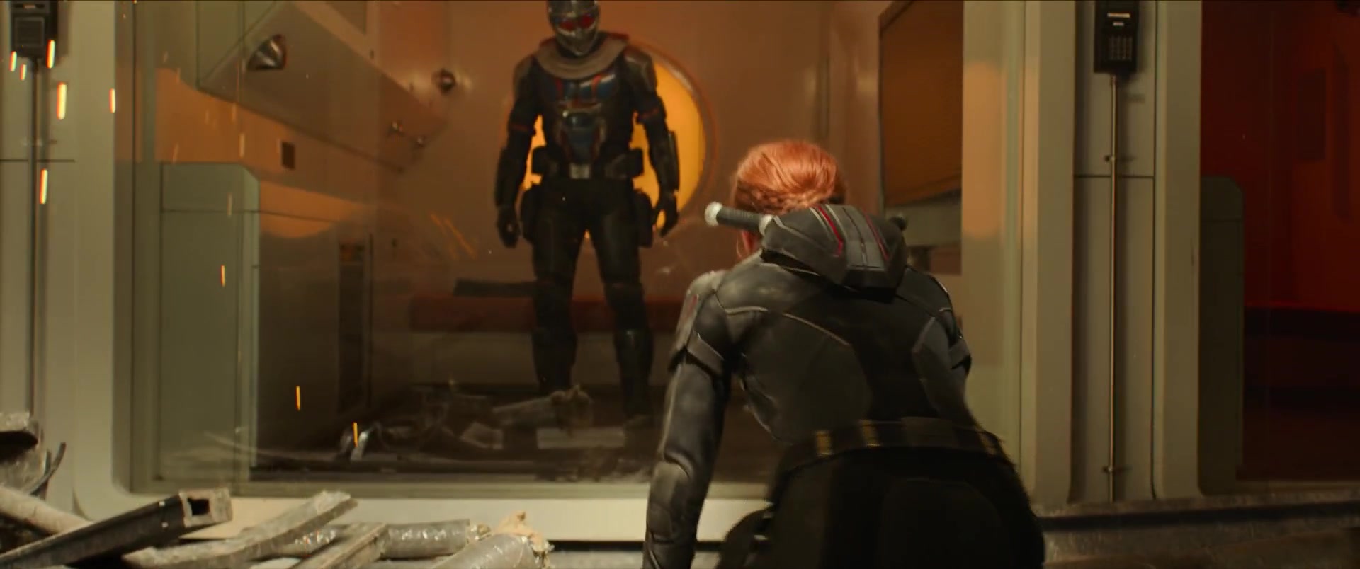 BlackWidow_5372.jpg