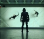 BlackWidow_1023.jpg