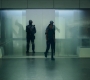 BlackWidow_1026.jpg