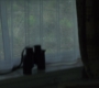 BlackWidow_1076.jpg