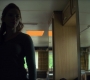 BlackWidow_1083.jpg
