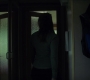 BlackWidow_1084.jpg