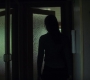 BlackWidow_1085.jpg