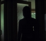 BlackWidow_1087.jpg