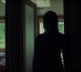 BlackWidow_1088.jpg