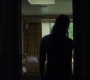 BlackWidow_1089.jpg
