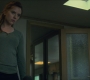 BlackWidow_1095.jpg