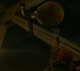 BlackWidow_1326.jpg