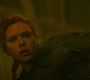 BlackWidow_1339.jpg