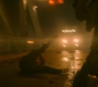 BlackWidow_1377.jpg